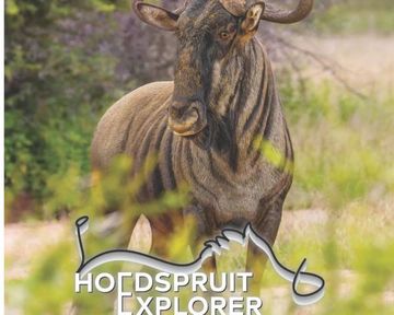 Hoedspruit Explorer Issue #91 – September 2026: Wildlife Tracking, Snake Safety & Local Insights