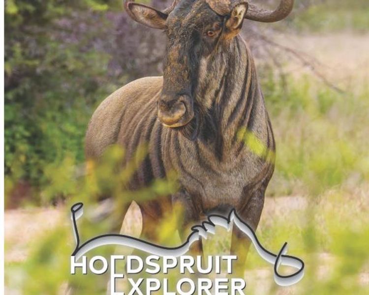 Hoedspruit Explorer Issue #91 – September 2026: Wildlife Tracking, Snake Safety & Local Insights