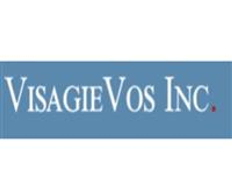 Visagie Vos Inc. - The Consequences of Making Loans to Trusts