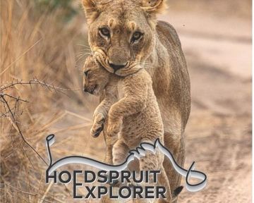 Hoedspruit Explorer - Issue 84 - February 2026