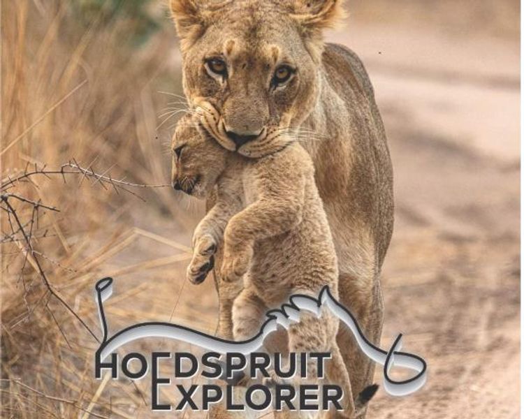 Hoedspruit Explorer - Issue 84 - February 2026