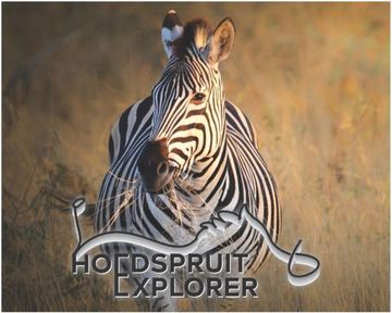 Hoedspruit Explorer - Issue 85 - March 2026