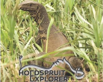 Hoedspruit Explorer - Issue 86 - April 2026