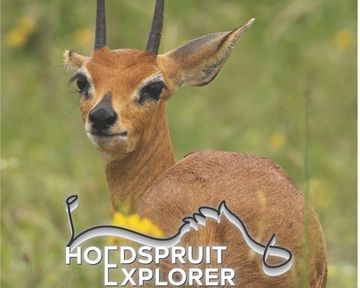Hoedspruit Explorer Issue 92: October 2026 Edition