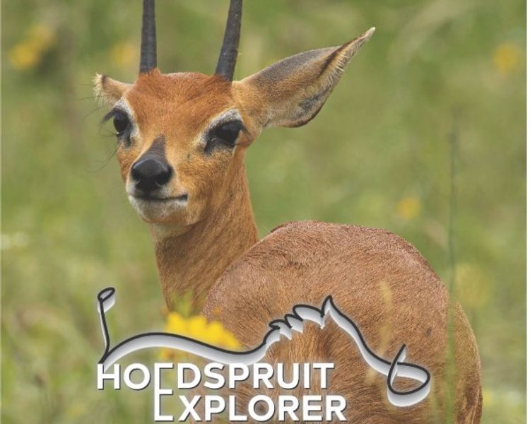 Hoedspruit Explorer Issue 92: October 2026 Edition