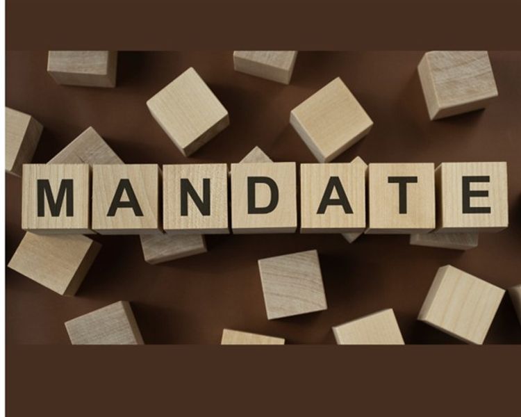 Sole Mandate vs Open Mandate: What Sellers Should Know