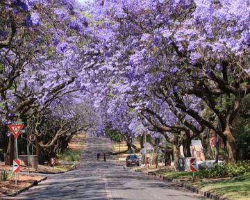Renting in Pretoria East: Suburbs, Prices, and Why It Remains Pretoria's Most In-Demand Rental Area