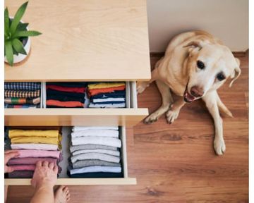 Let's get organised! 5 Super easy ways to tidy up