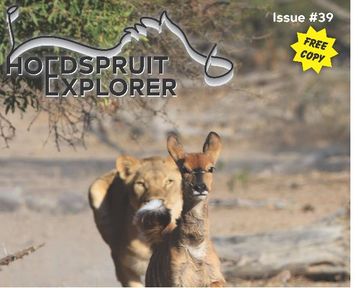 Hoedspruit Explorer - Issue 39 - December 2021