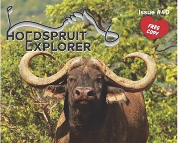 Hoedspruit Explorer - Issue 40 - February 2022