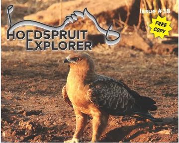 Hoedspruit Explorer - Issue 38 - November 2021 