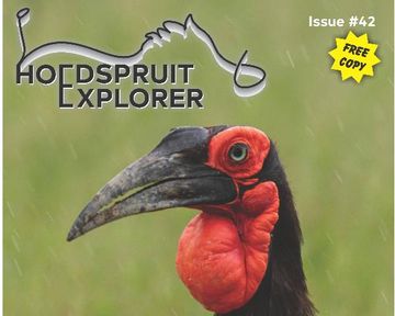 Hoedspruit Explorer - Issue 42 - April 2022