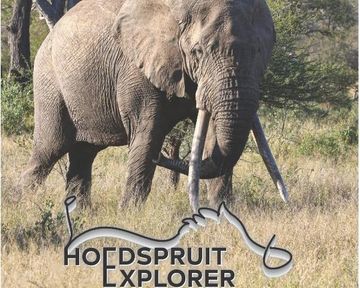 Hoedspruit Explorer - Issue 46 - August 2022