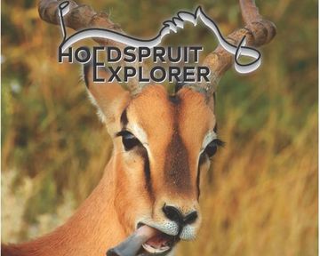 Hoedspruit Explorer - Issue 48 - Oct 2022