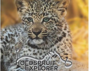 Hoedspruit Explorer - Issue 49 - Nov 2022