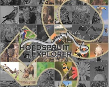 Hoedspruit Explorer - Issue 50 - Dec/Jan 2023